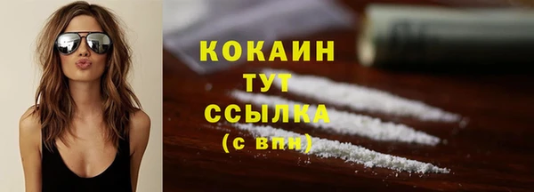 твердый Белокуриха