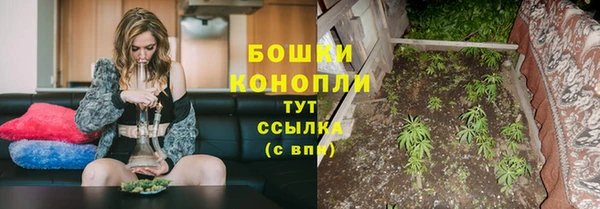 твердый Белокуриха