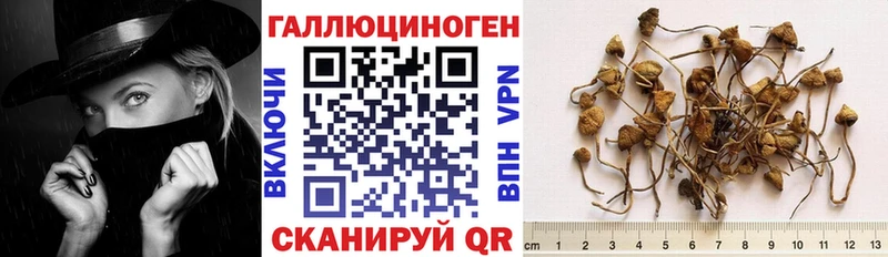 Галлюциногенные грибы мухоморы  Купить где  Апшеронск 